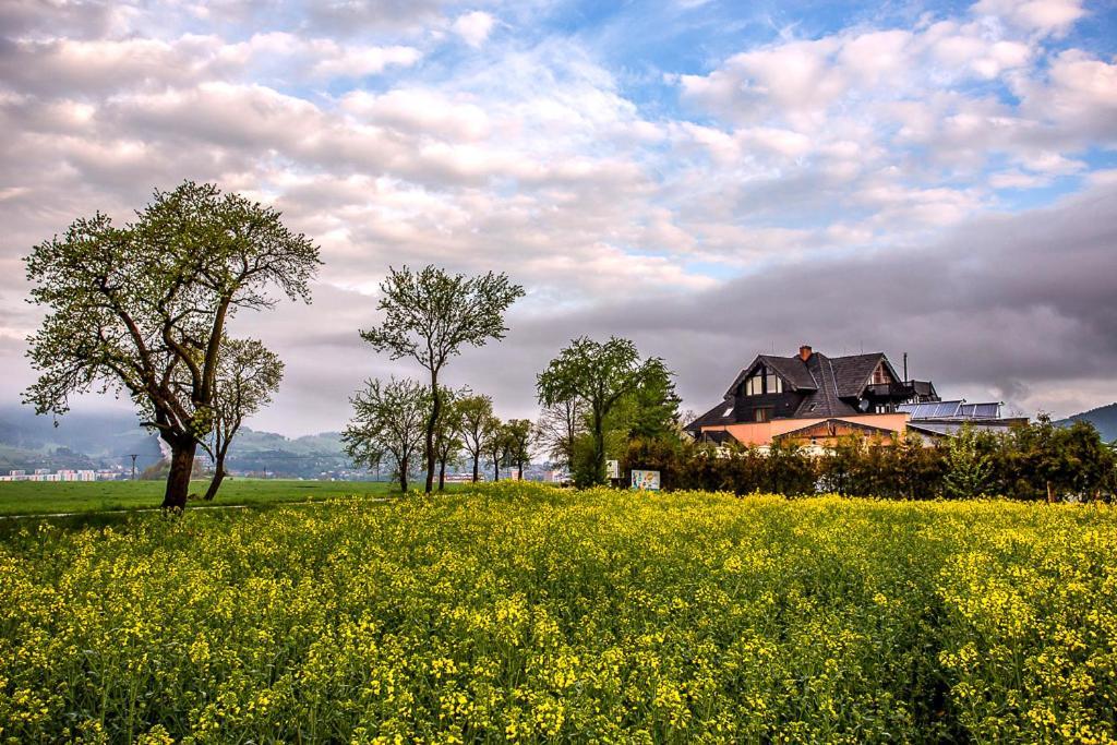 Vila Fenix B&B Ruzomberok Dış mekan fotoğraf